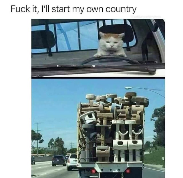 Cat: I'll start my own country - meme