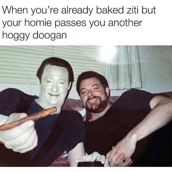 Hoggy doogan - meme