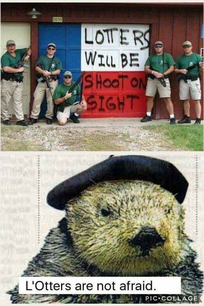 L'otter! - meme