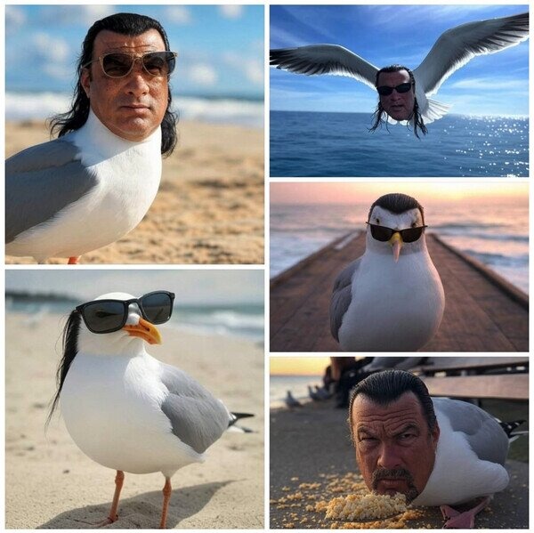 Steven Gaviota - meme