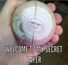 Get it layer onions have layers - meme