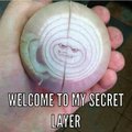 Get it layer onions have layers