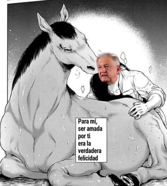 Amlo zoofilico - meme