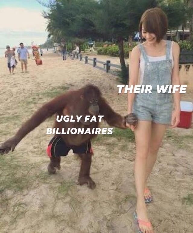 Ugly fat billionaires and their wives - meme