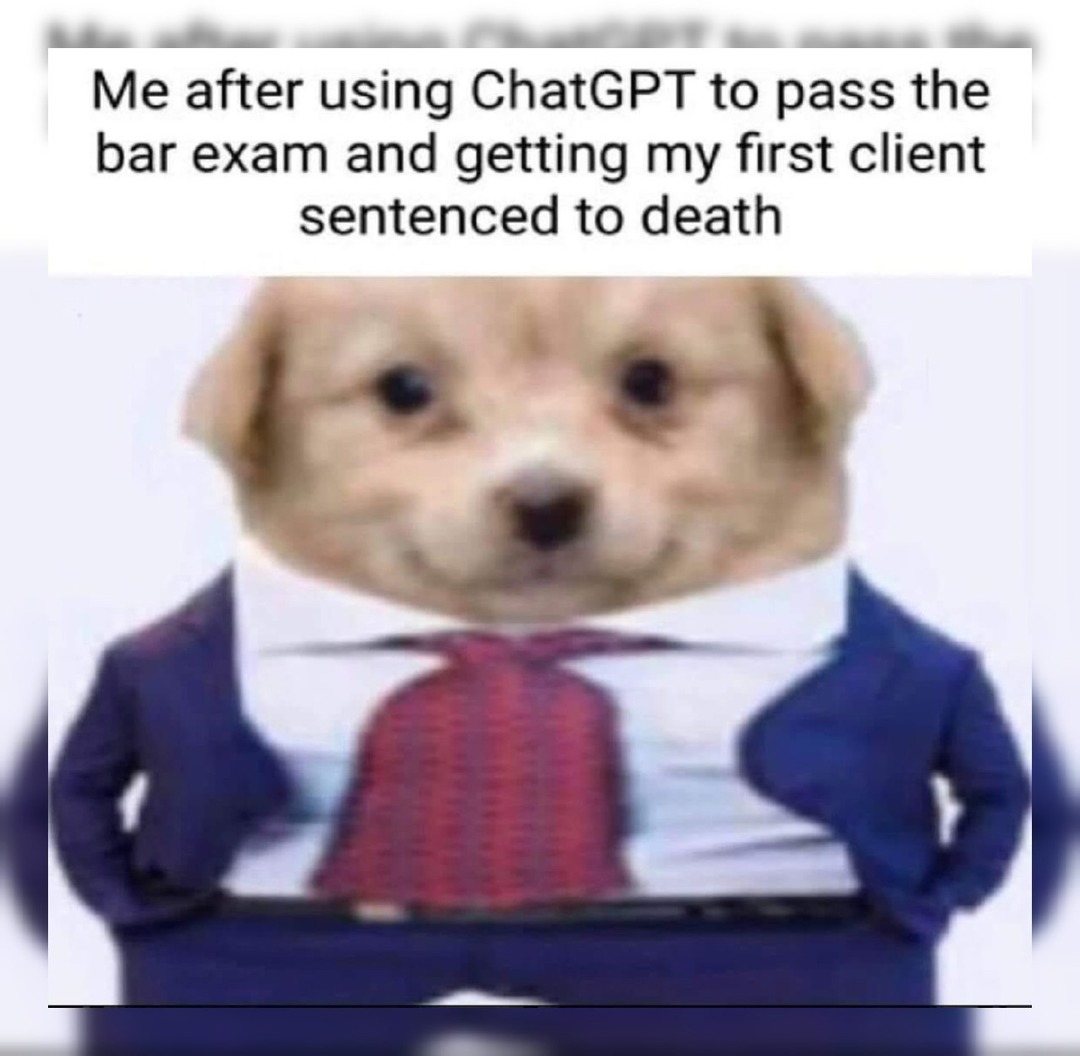 For a speeding ticket - meme
