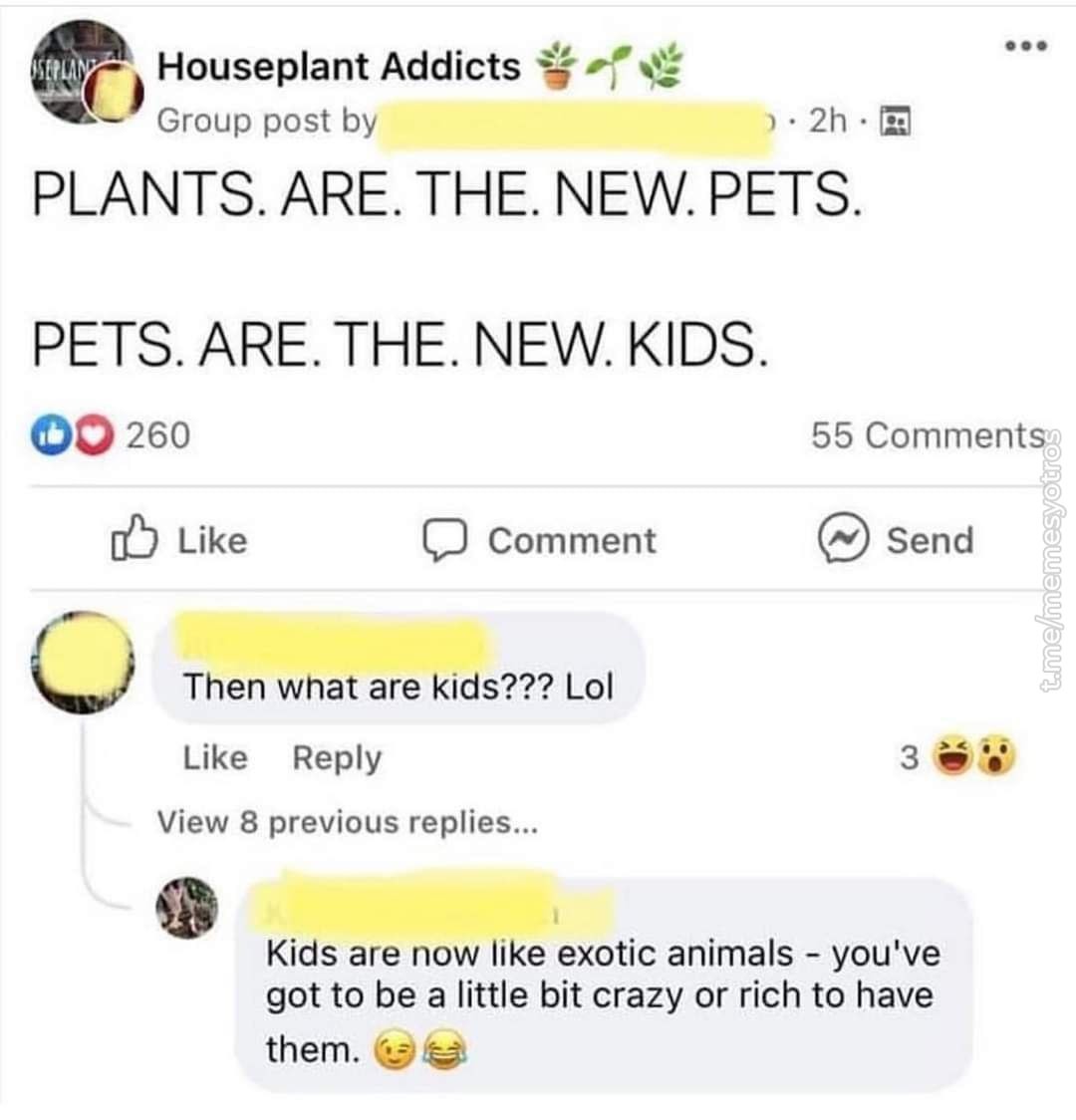 Las plantas son las nuevas mascotas xd - meme