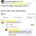 Las plantas son las nuevas mascotas xd