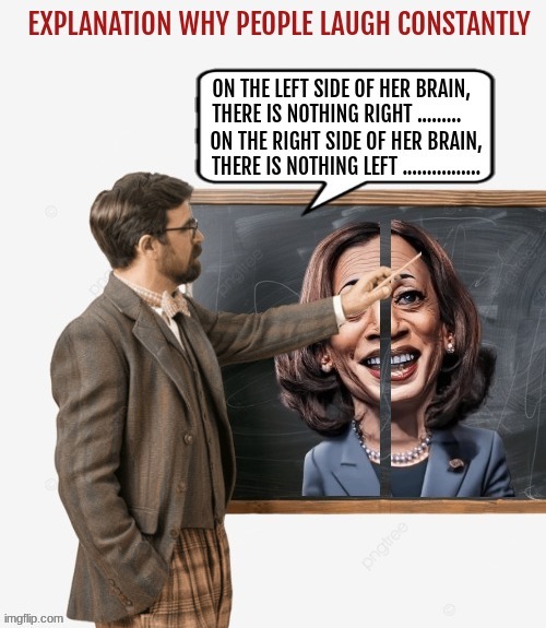 voting - meme
