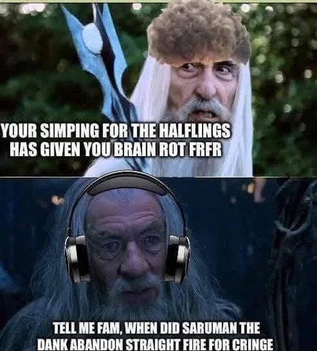 Your simping for halflings has caused permanent damage - meme