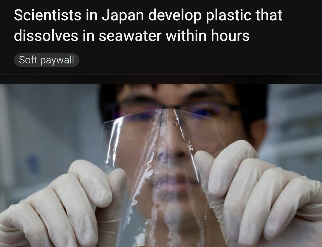 Japan made plastic that vanishes in the ocean - meme