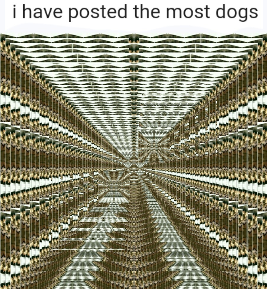 Infinite dogs - meme