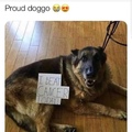 proud doggo