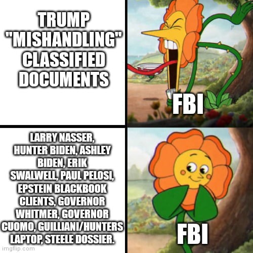 FBI's double standards - meme