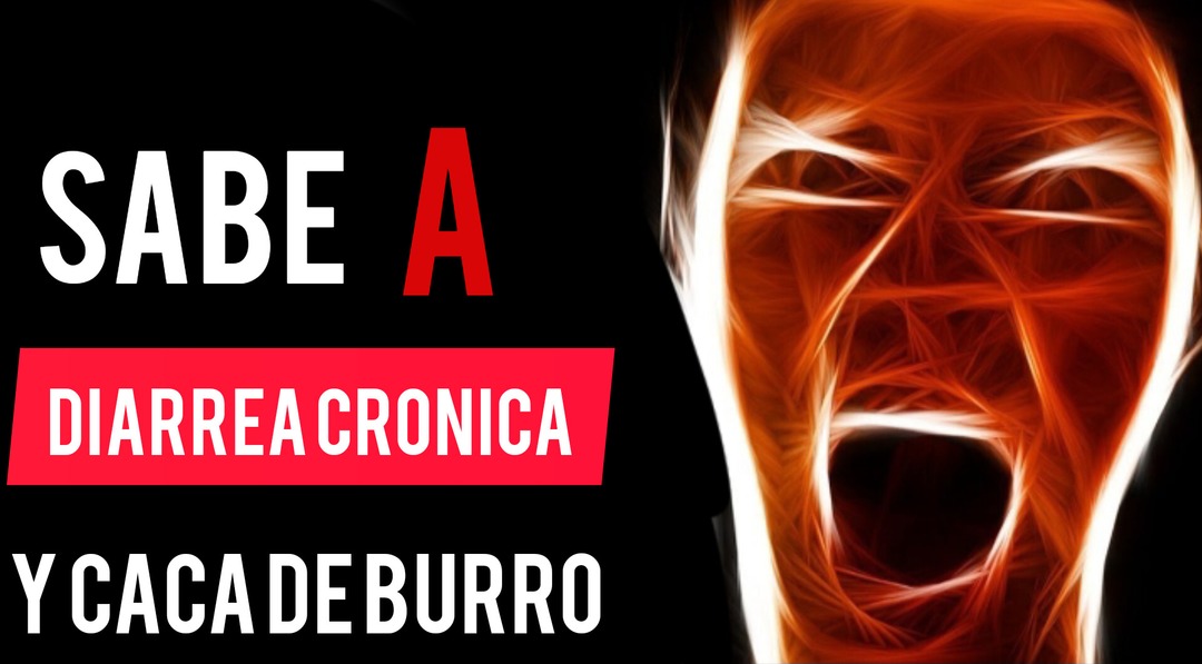 Sabe a diarrea cronica y caca de burro - meme