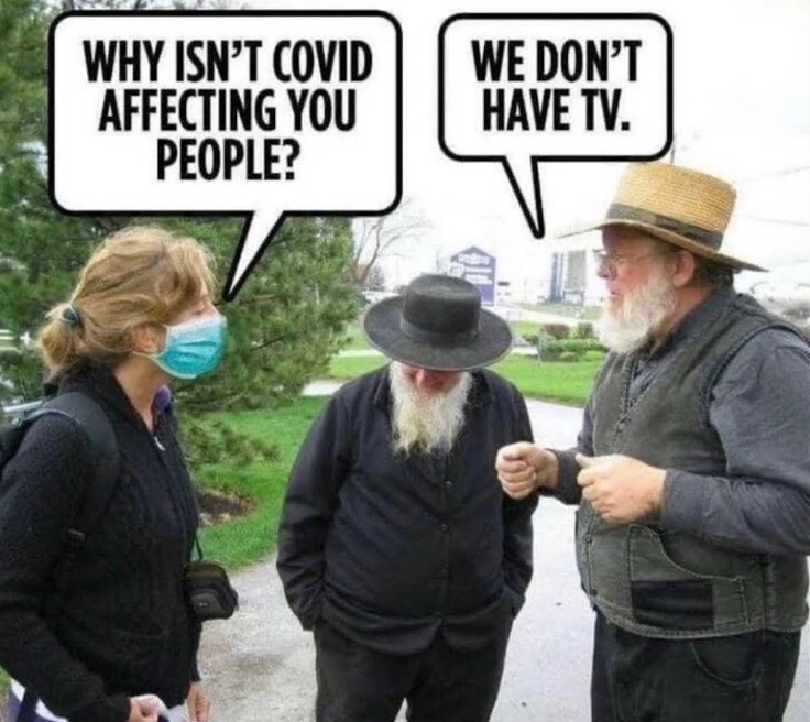 Amish Covid - meme
