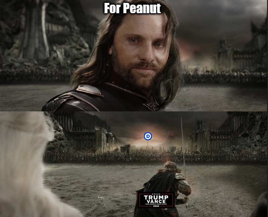 Re-up of my own post, 1st pic was washed out with whiteness. - meme