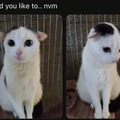 commented item thumbnail
