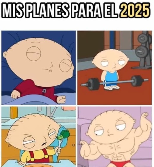 Planes para el 2025 - meme