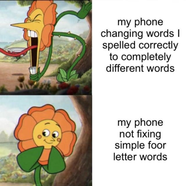 Autocorrect: fixing the wrong stuff since forever - meme