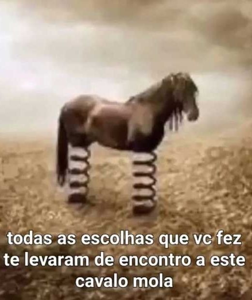 Cavalo Mola. - meme