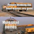 Snail memes