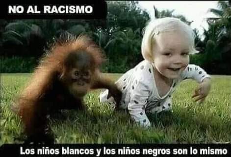 No al rasismo - meme