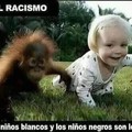 No al rasismo
