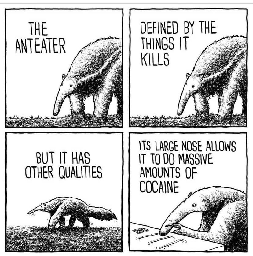 drugged out anteater - meme