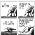 drugged out anteater