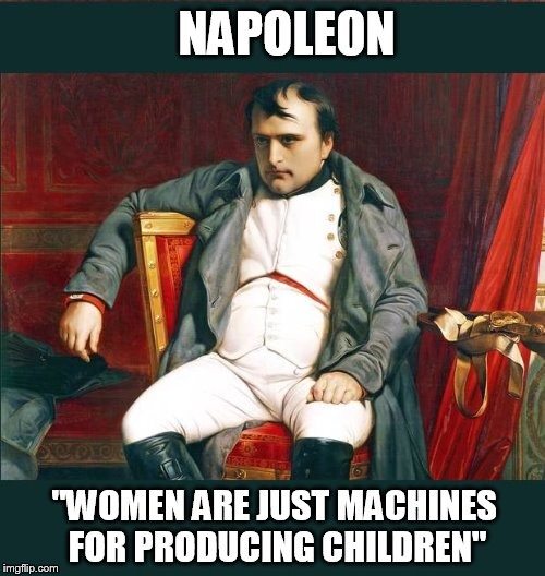 Napoleon being Mean but also Speaking facts - meme