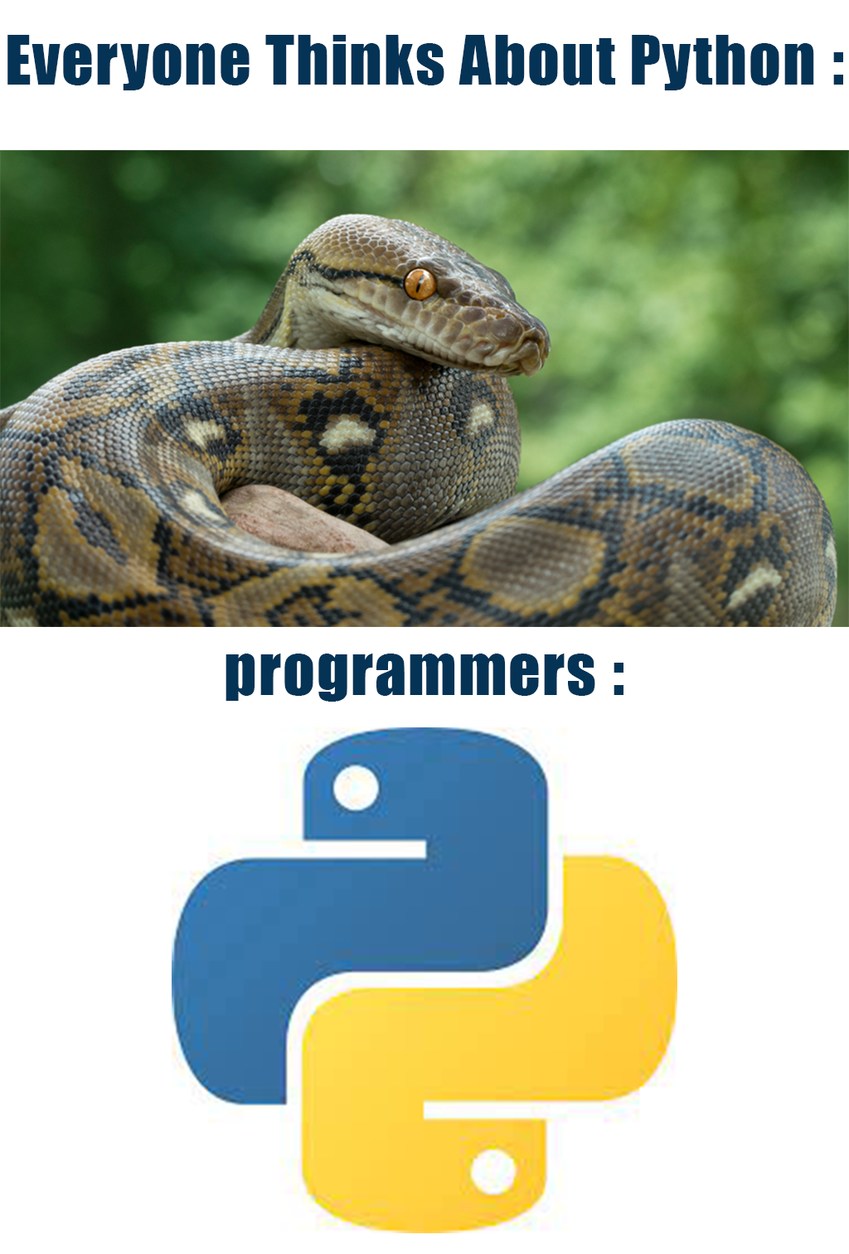 Everyone And Programmers - meme