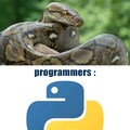 Everyone And Programmers