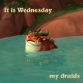 It's Wednesday meme