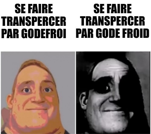 Godefroi (ou Godefroy) de Bouillon et la première croisade - meme