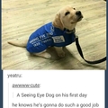 4th comment loves puppies