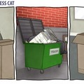 The adventures of business cat.