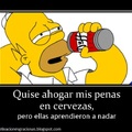 Homer y su logica :S