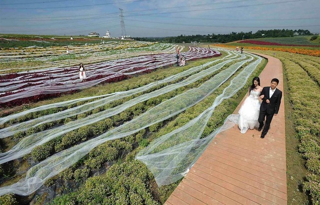 Une chinoise se marie dans une robe avec une traîne de 4km. - meme