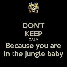 Welcome to the Jungle - meme