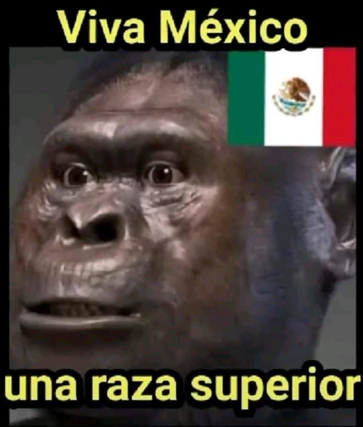 Mexichangos - meme