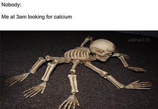Mmmm calcium - meme