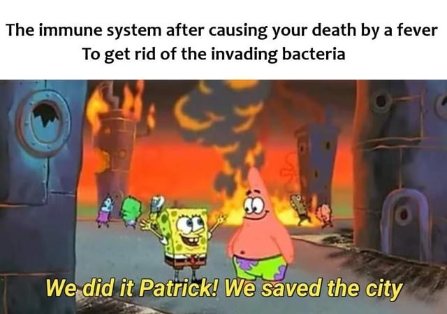 Thank you immune system - meme