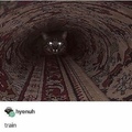 subway or cat?