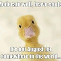 Have a duck, coz ducks are awesome!