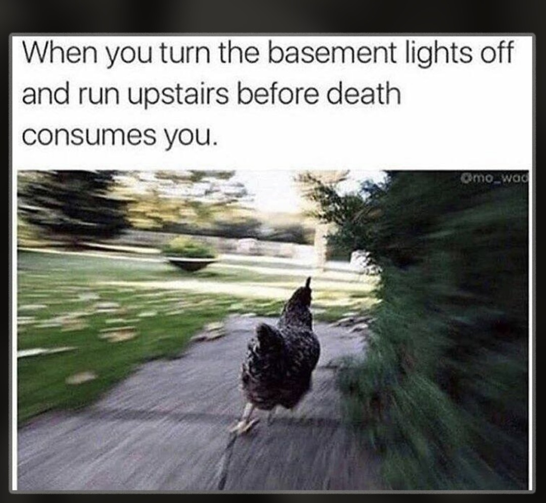 If I don’t sprint up the stairs the monster will get me.  - meme