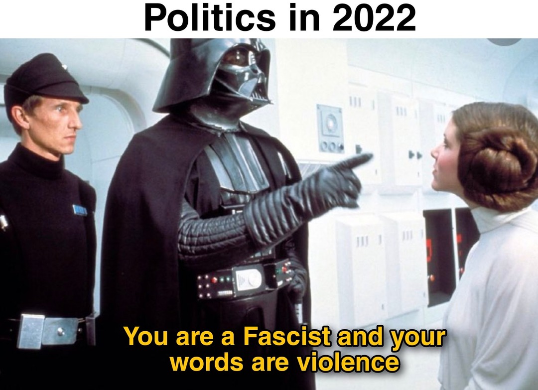 Politics in 2022 - meme