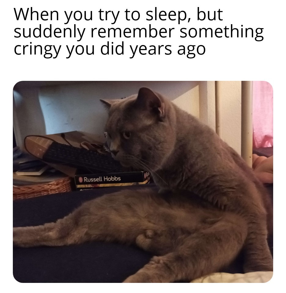 waking up cat meme