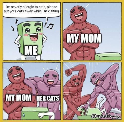 Mom: Cats first - meme