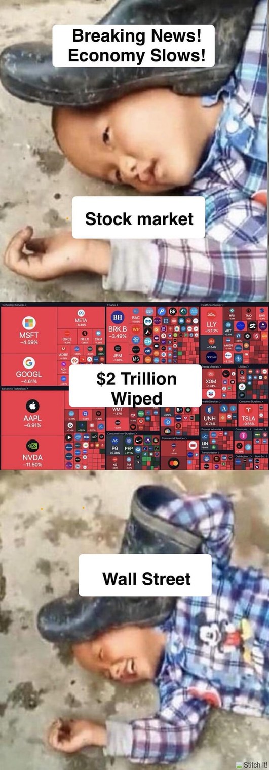 Stock market crashing meme