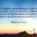 Hebrews 12:11
